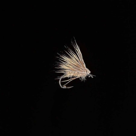 Sèche Enrochement clair