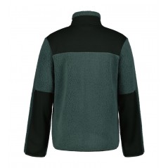 Polaire ARDEM Icepeak homme