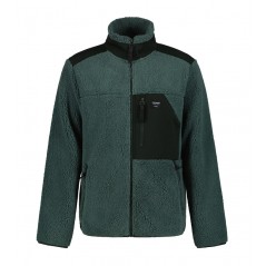 Polaire ARDEM Icepeak homme