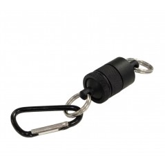 AIMANT A EPUISETTE Native