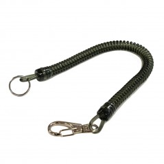 CORDON A EPUISETTE Native