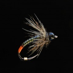 Nymphe NTC 423 NO H14