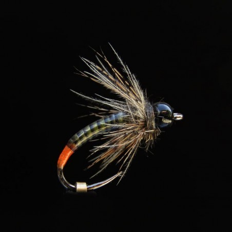 Nymphe NTC 423 NO H14