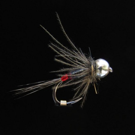 Nymphe NTD 441 AR H14