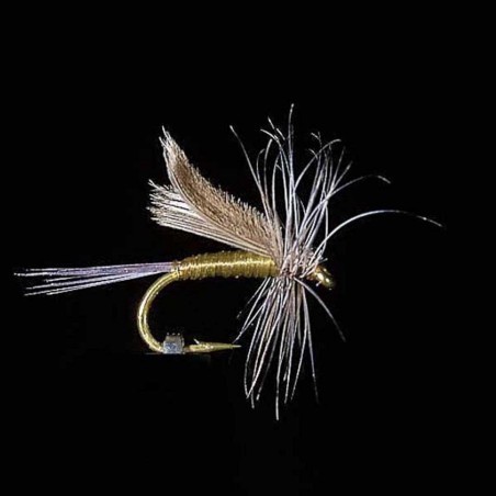 Mouche d'ORNANS 2 H16