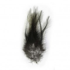 PARDO FLOR DE ESCOBAR DEMI PEL