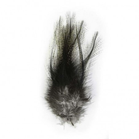 PARDO FLOR DE ESCOBAR DEMI PEL