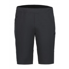 Icepeak Baxter - Short Homme