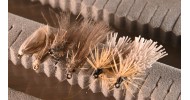 Sedges