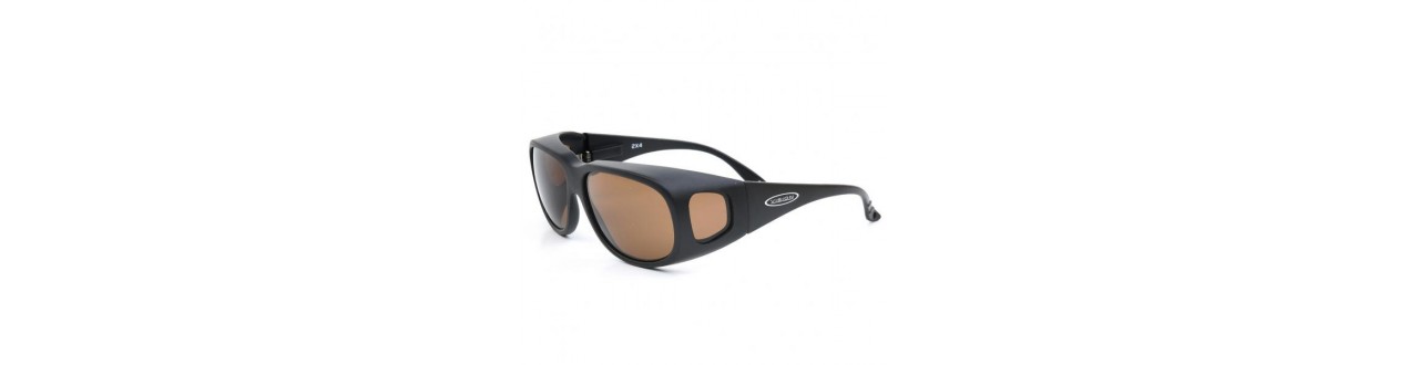 Lunettes polarisantes