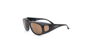 Lunettes polarisantes