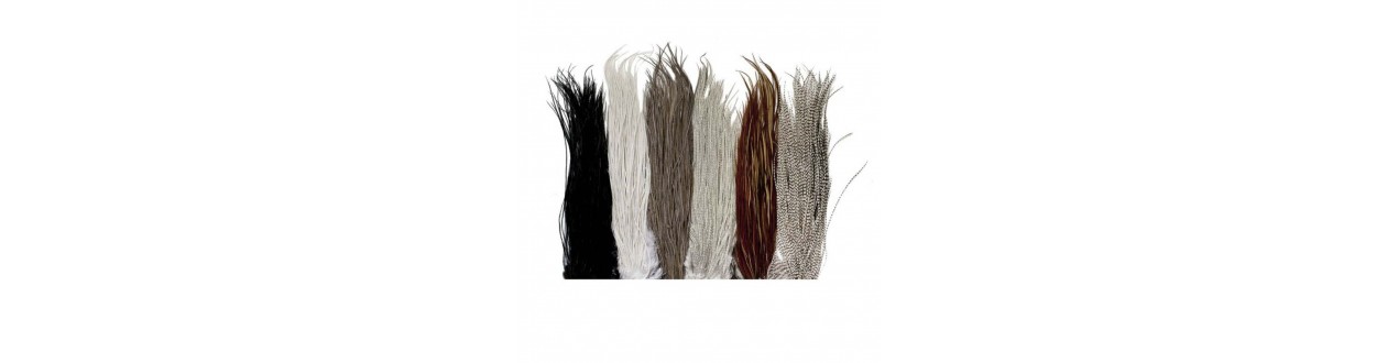 Sélection de plumes pour montage de mouche