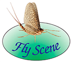 FLY SCENE